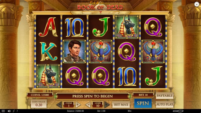 Book of Dead Slot